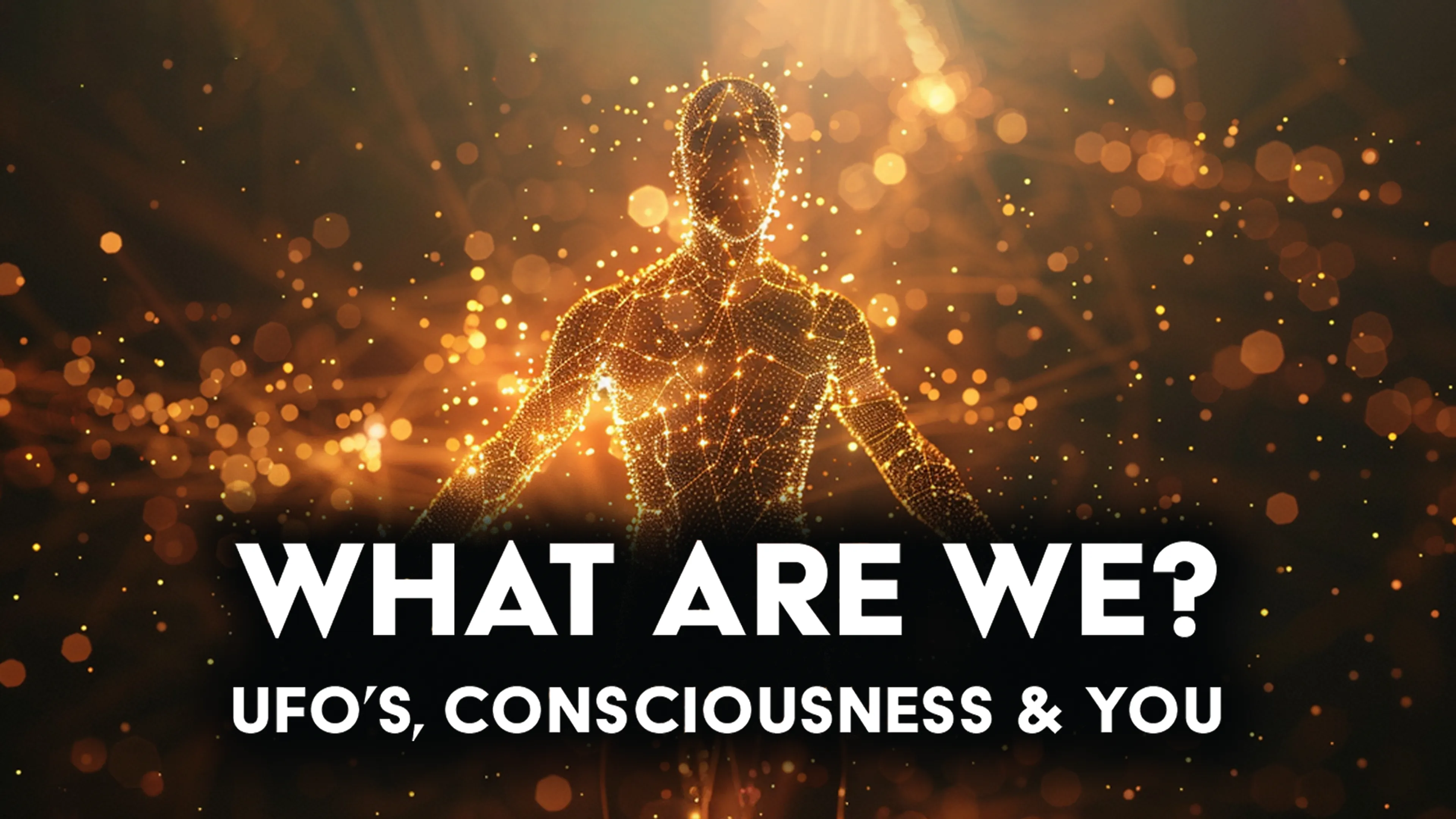 What Are We: UFOs, Consciousness & You poster